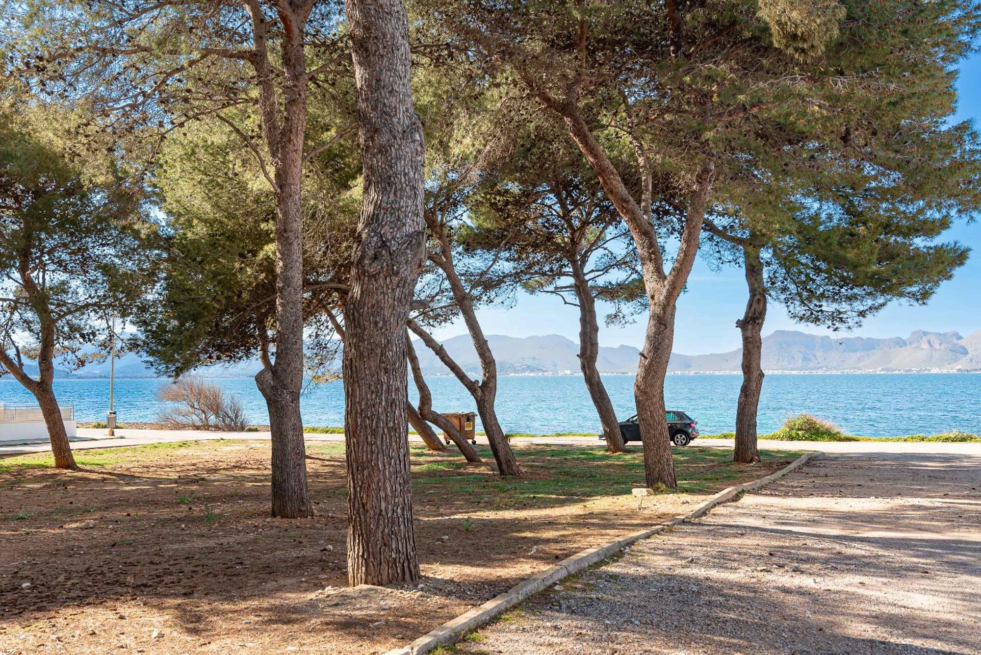 Francesca By Sealand * Port de Alcudia (Mallorca)